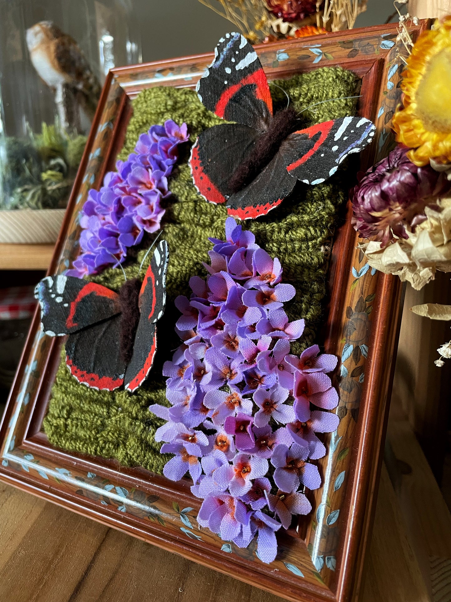 Buddleia Admiral