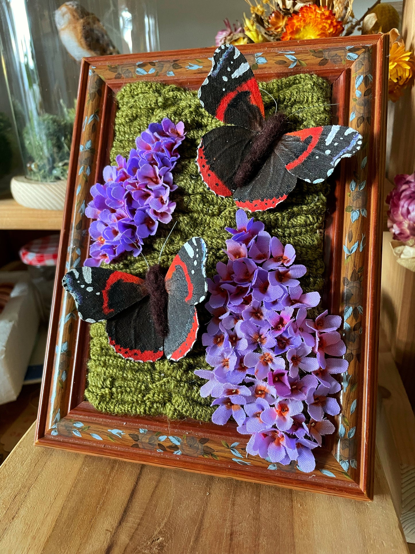 Buddleia Admiral