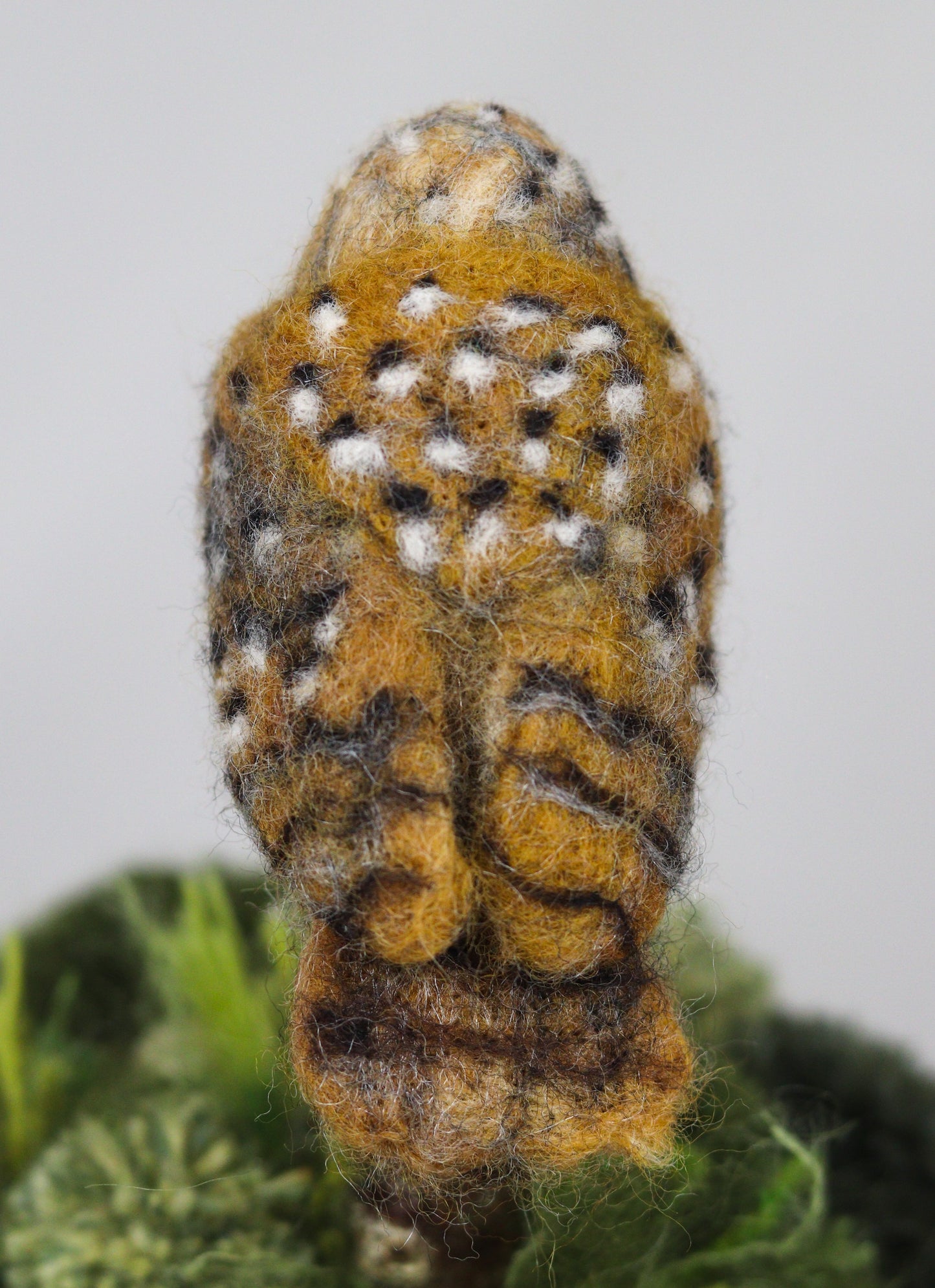 Sleeping barn Owl No.1