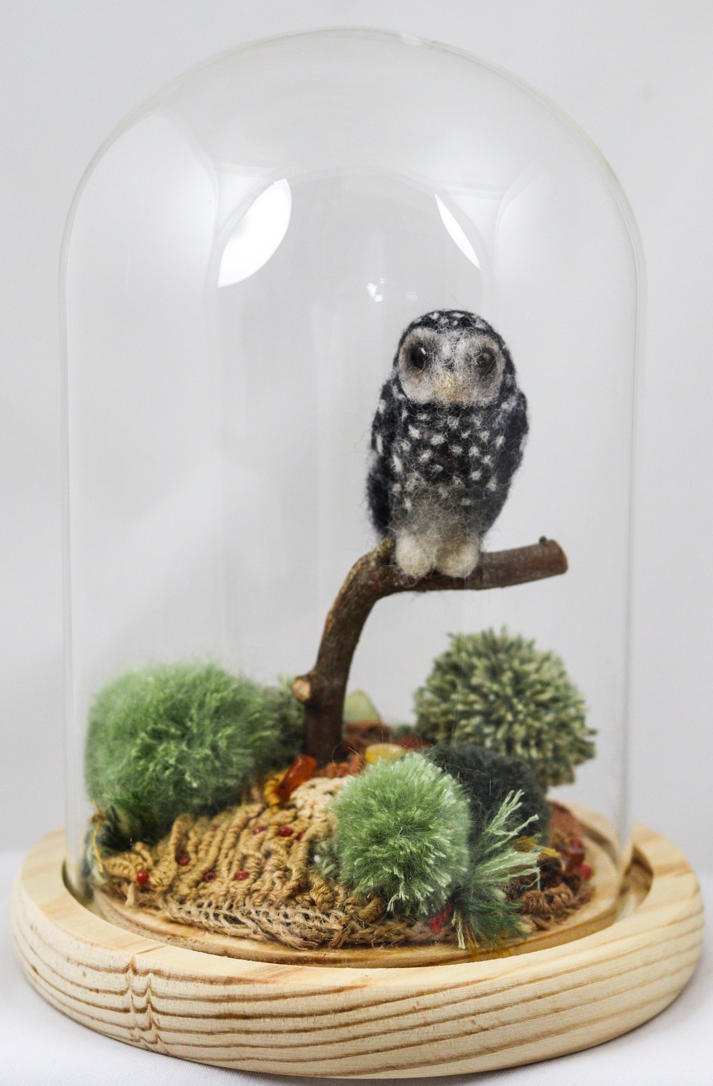 Outback Owl