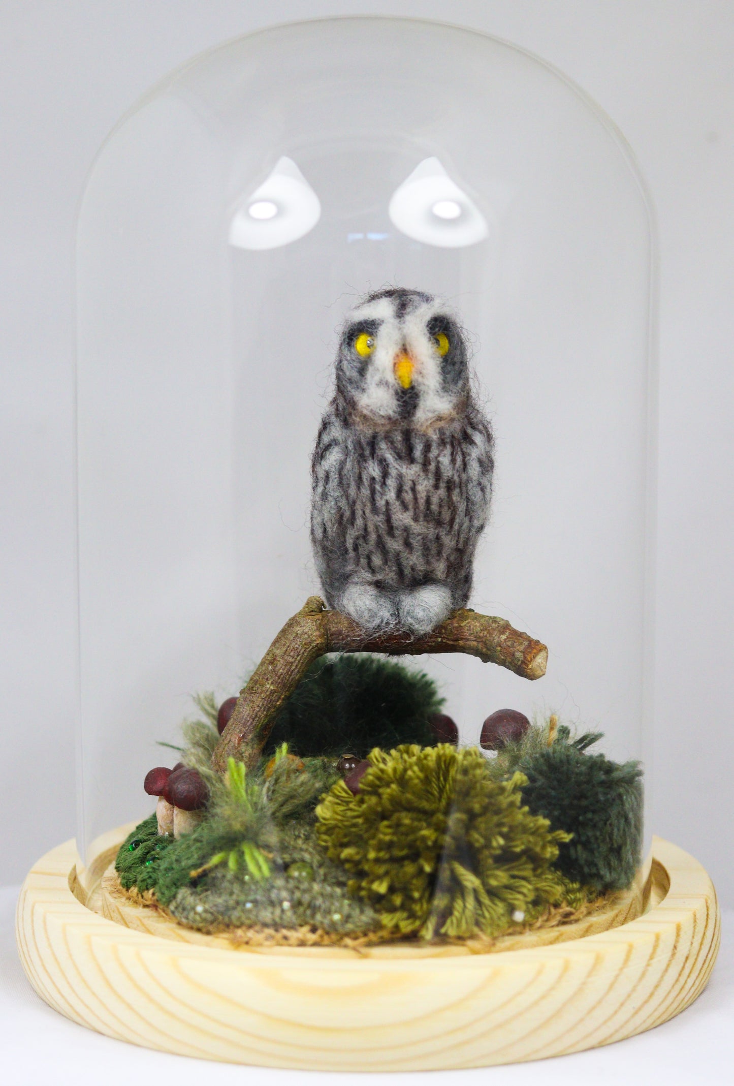 Wise Old Owl