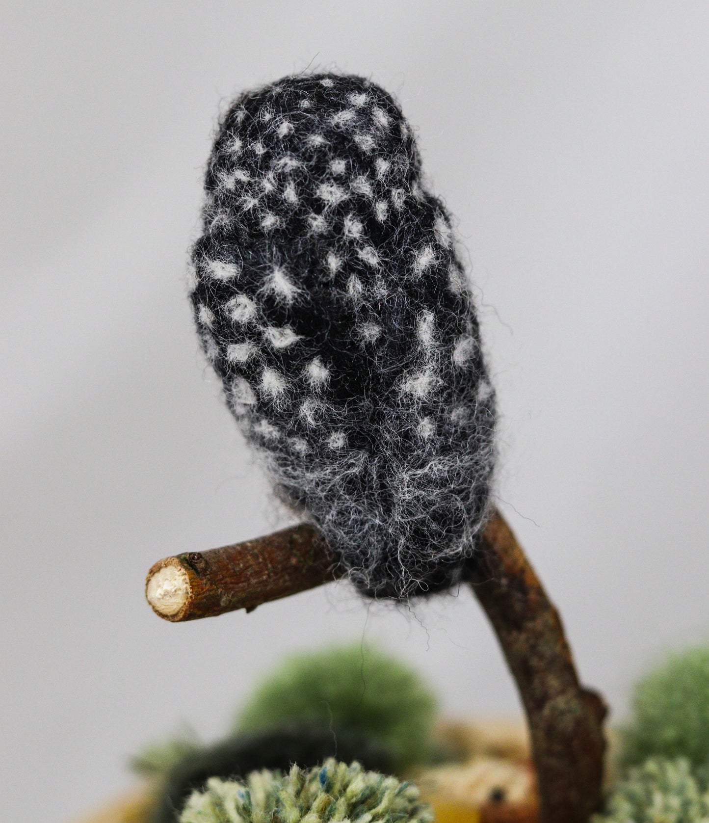 Outback Owl