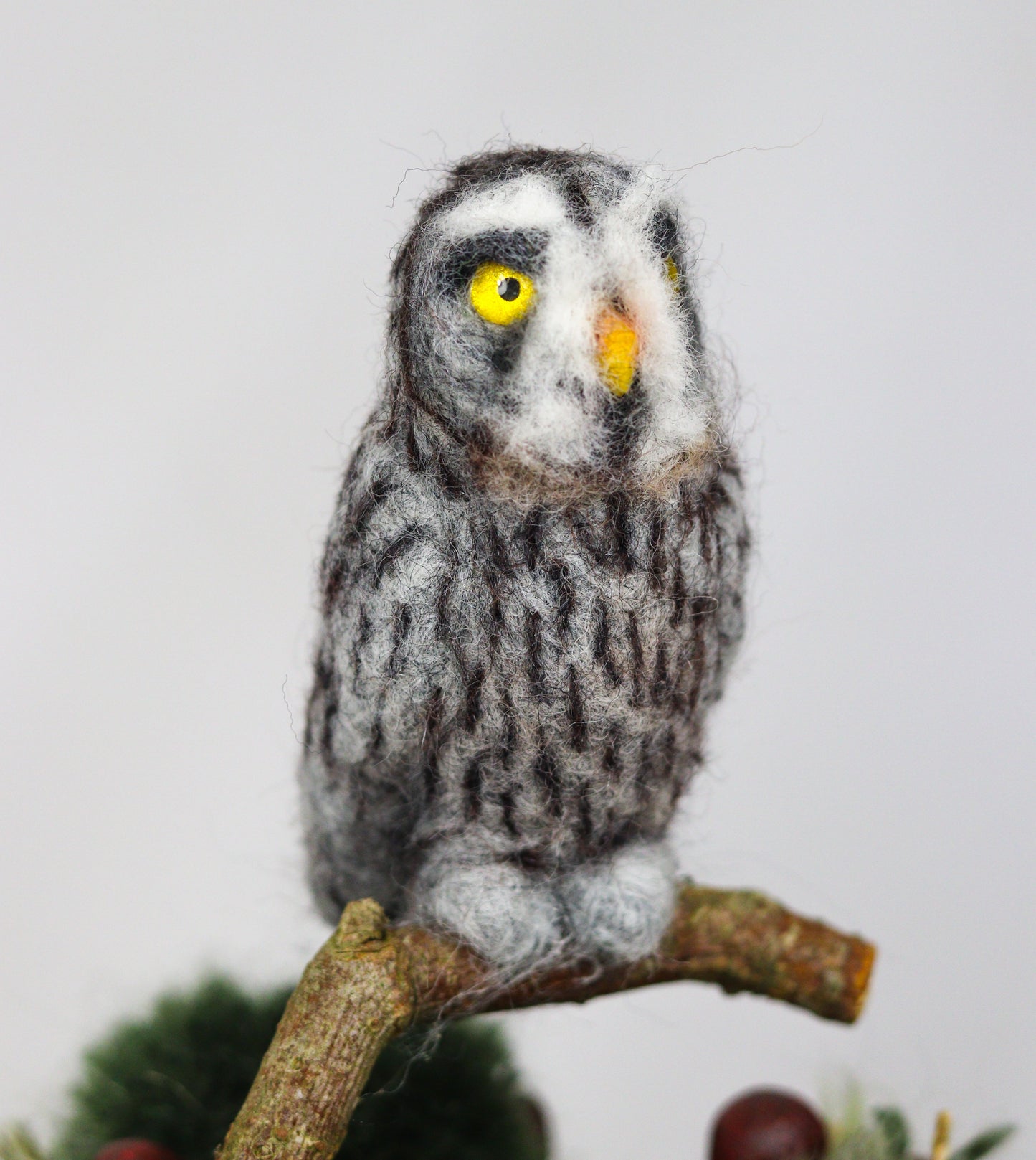 Wise Old Owl
