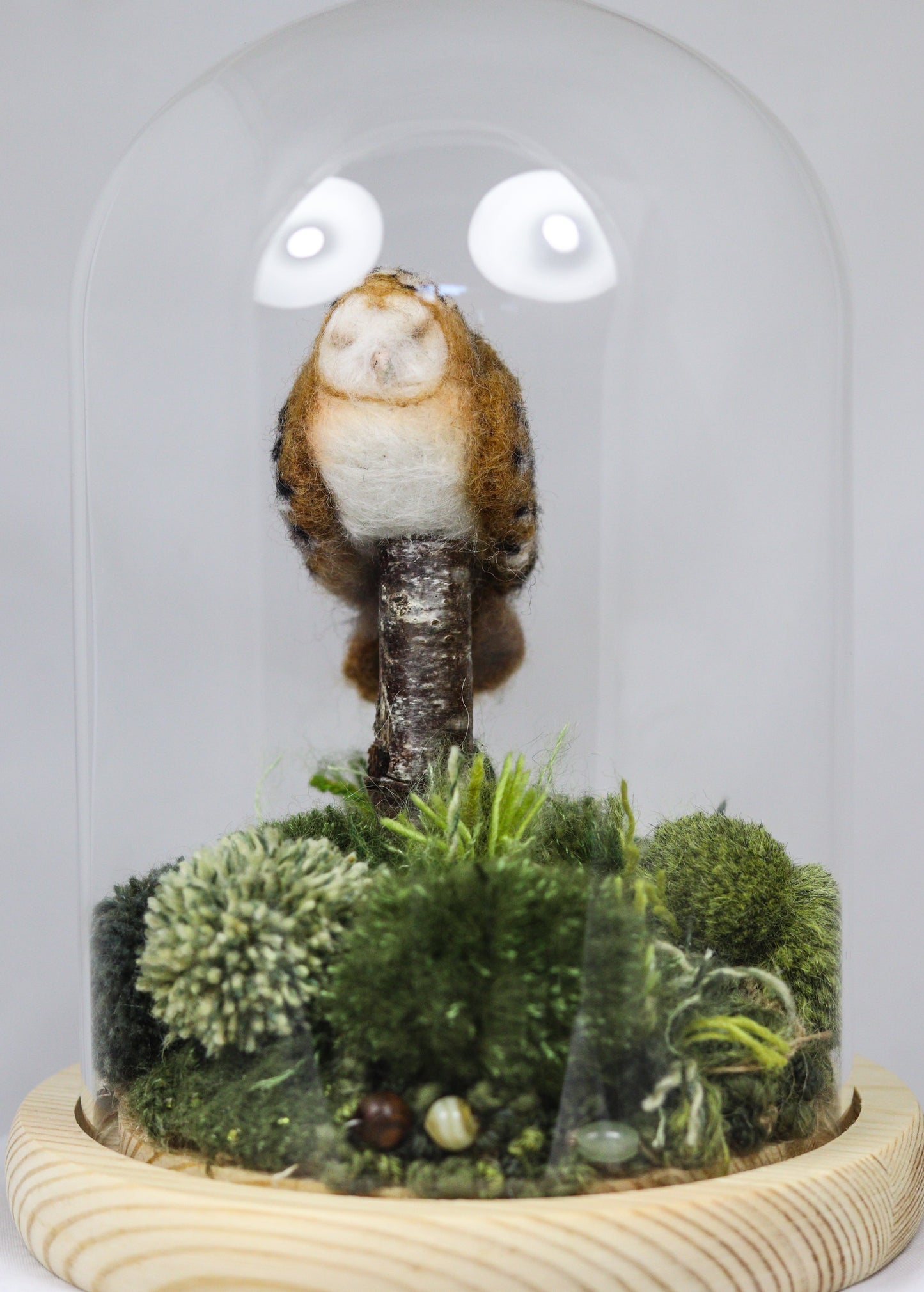 Sleeping barn Owl No.1