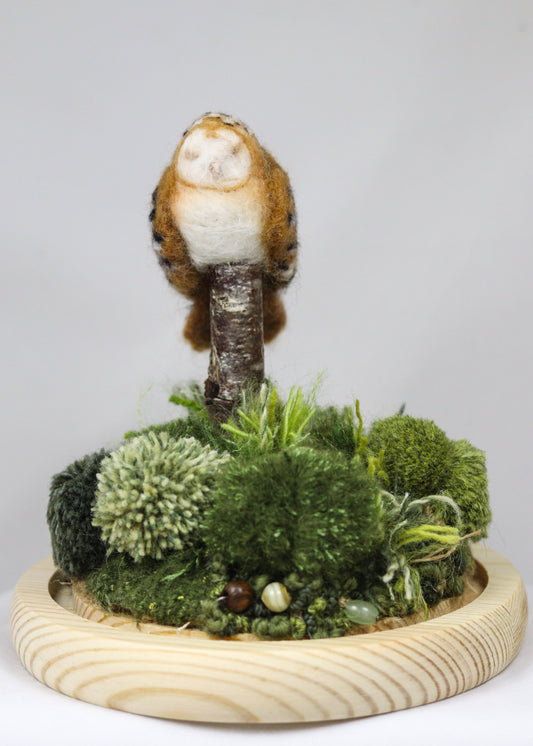 Sleeping barn Owl No.1