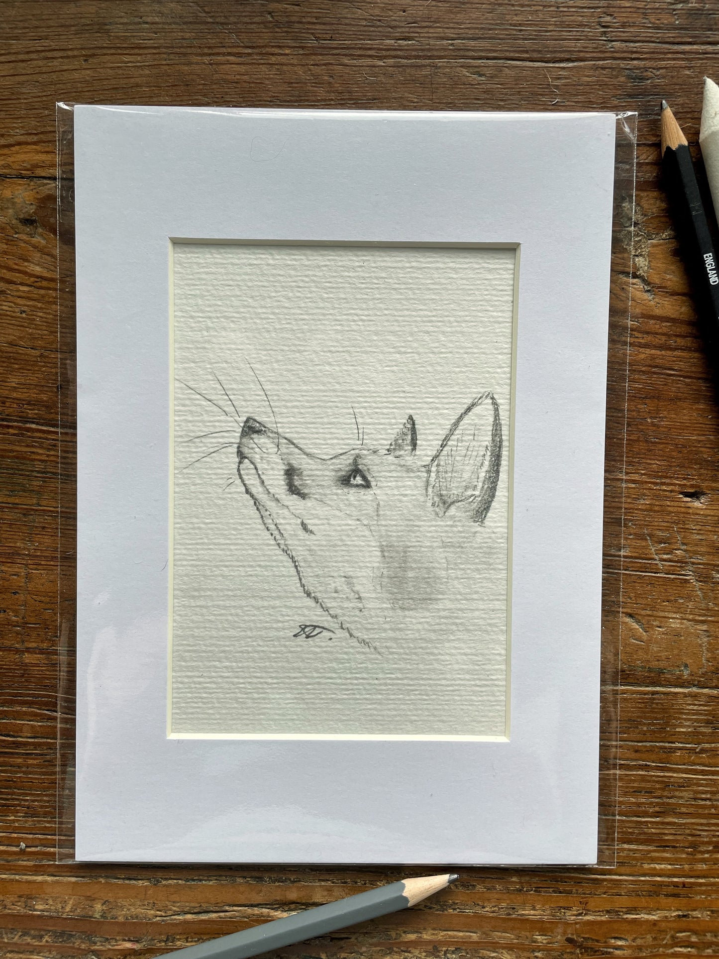 Gazing Fox Print