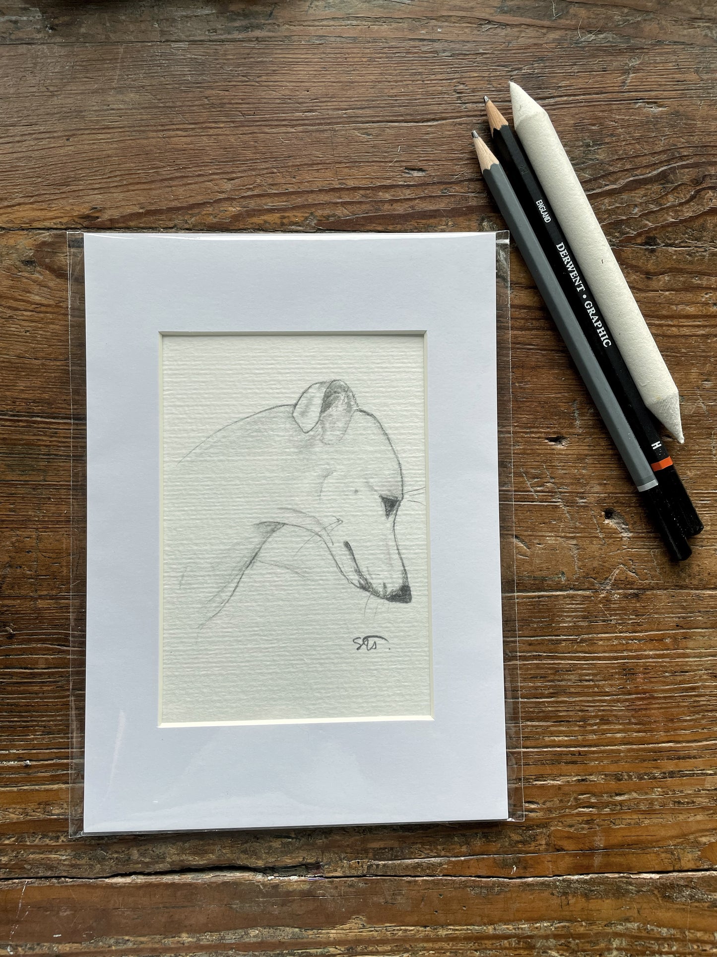 Whippet Print