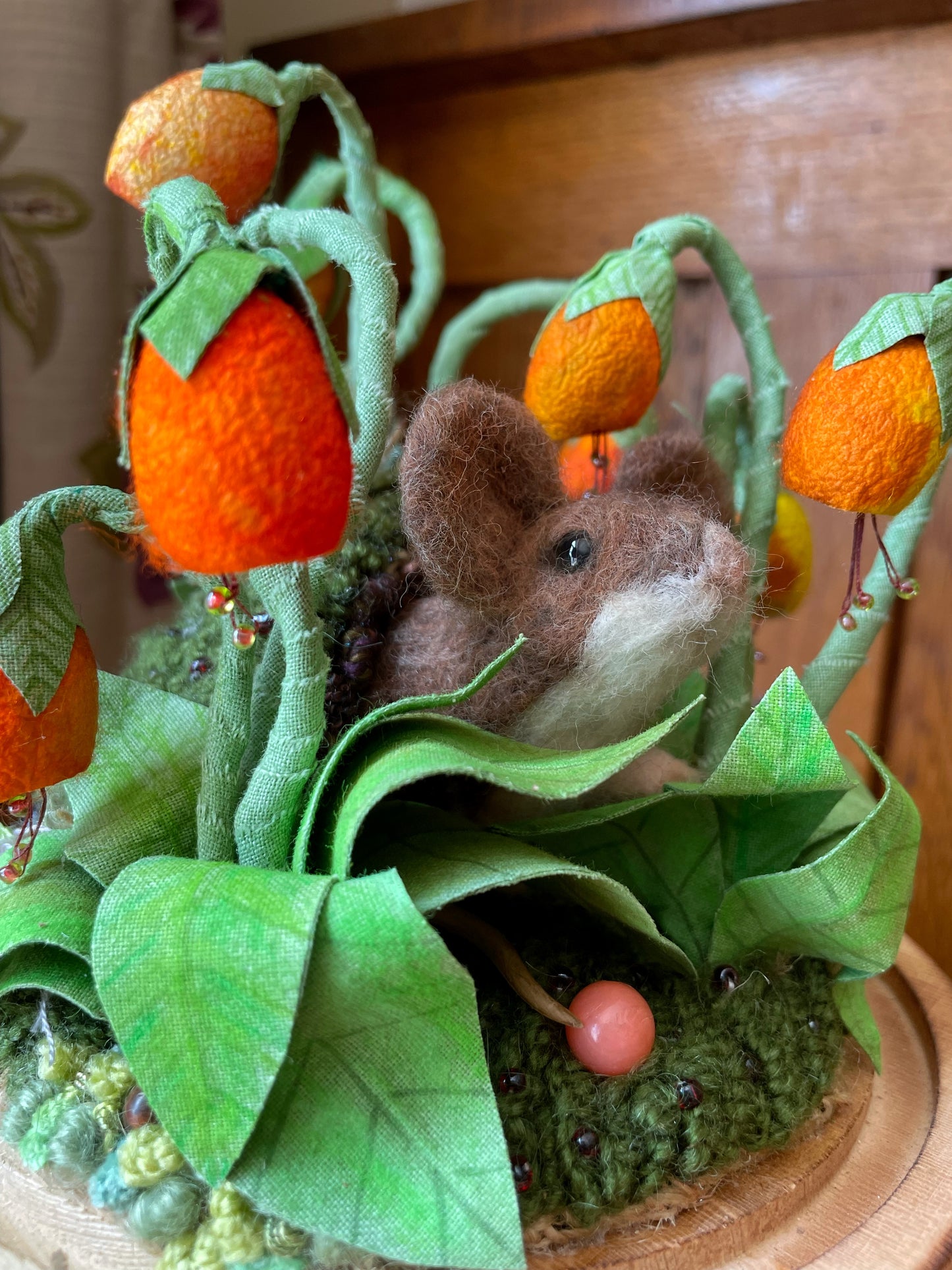 Hello Spring!